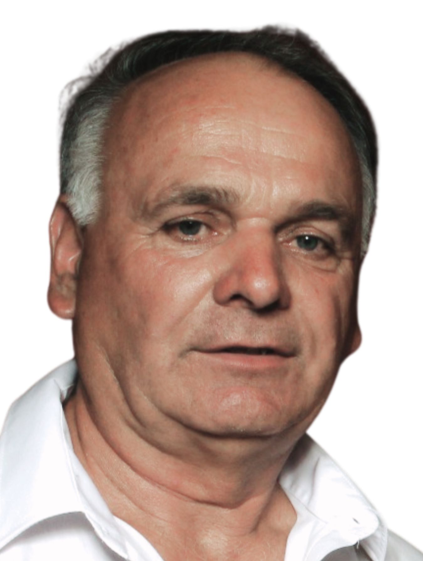 Willibald Pall